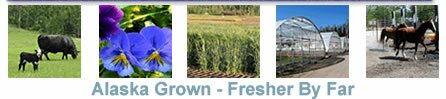 AlaskaGrown Products and Producers - Find your favorite AlaskaGrown brands, products and producers. AlaskaGrown - Fresher by Far!!